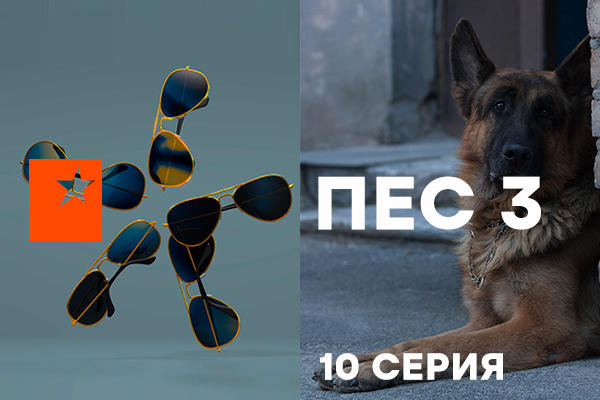 Кто убивает красивых мужчин? – «Пес» 3 сезон, 10 серия