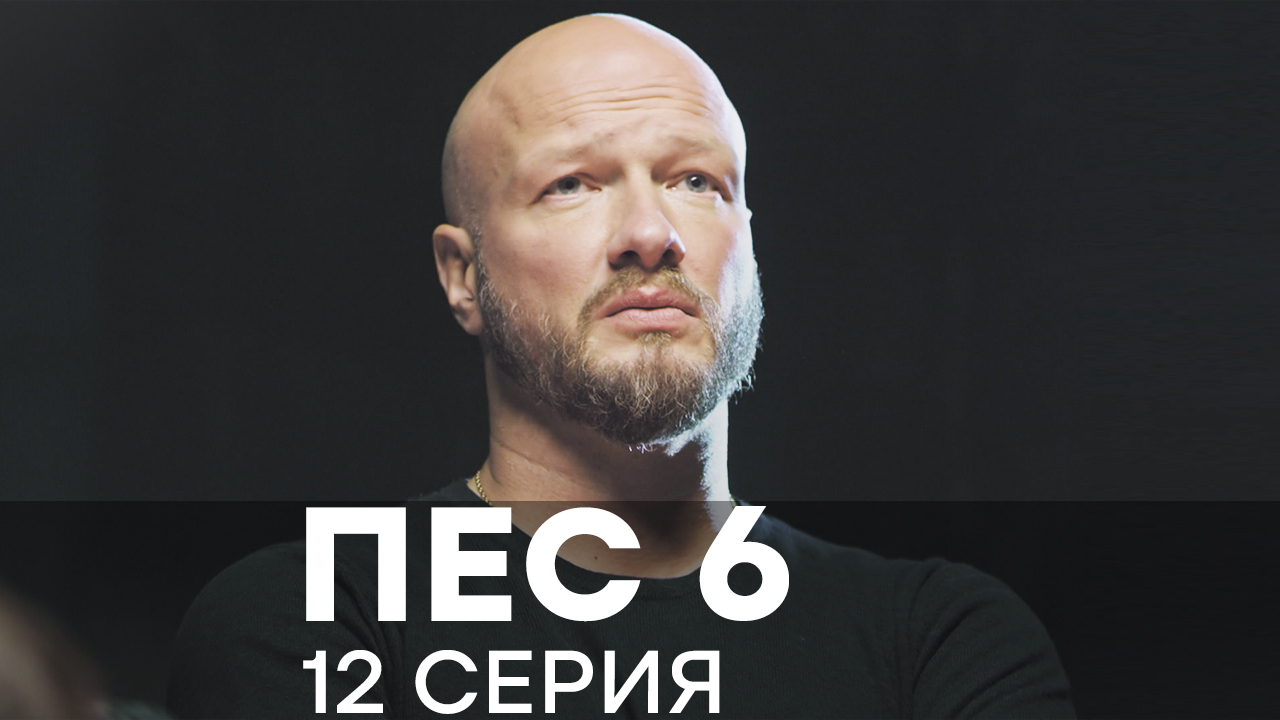 Смотреть Сериал Пес Новый Год Смотреть Сериал Пес Новый Год